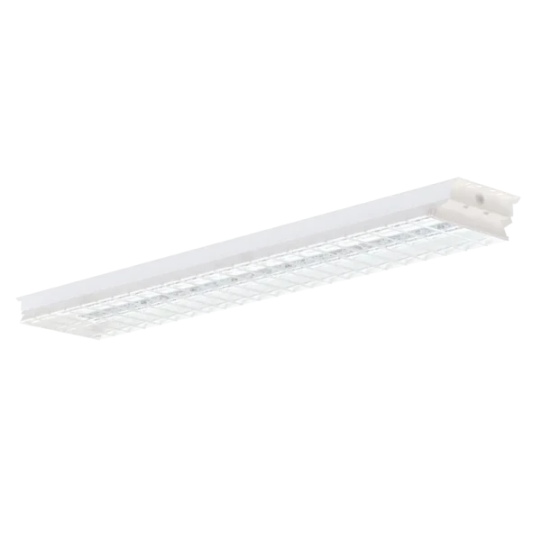 Neta   100W