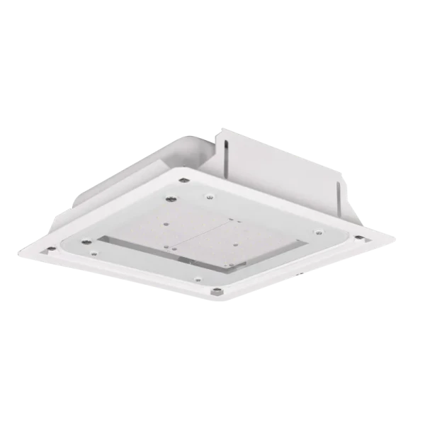 Okta    80W