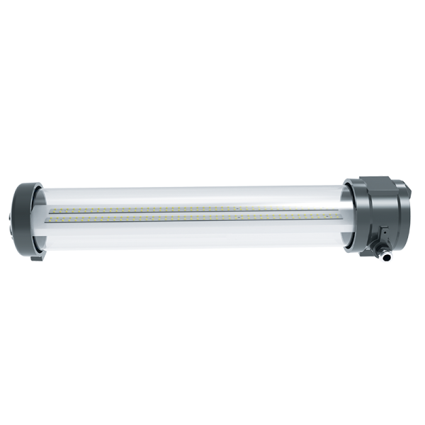 Exta   14W