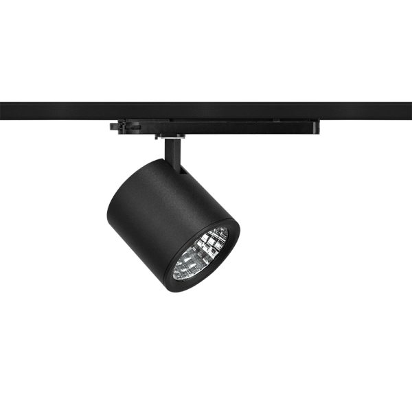 Viar M 20W
