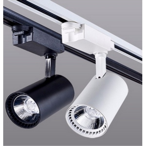 Ray Spot 20W